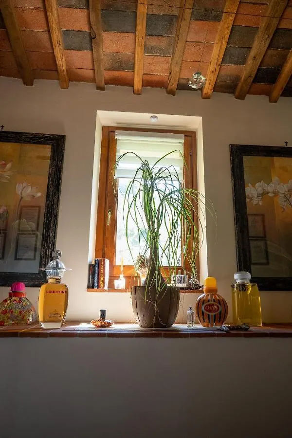 Cathedral-Wellness-Stay Sauna & Massage Pescia 0*,