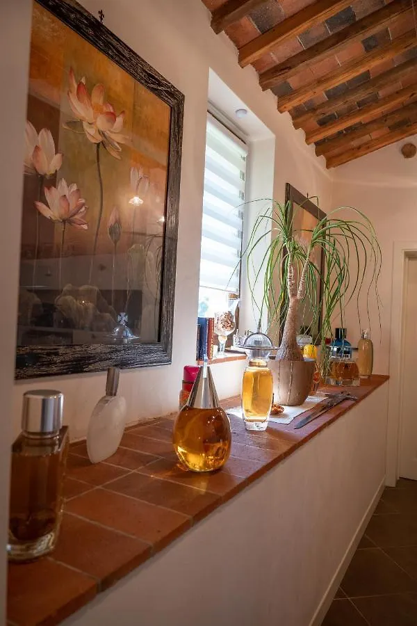 Cathedral-Wellness-Stay Sauna & Massage Pescia 0*,  Italien